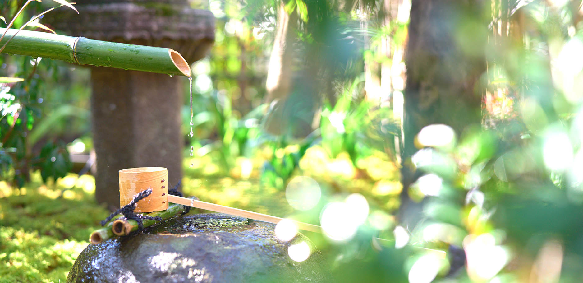 photo：nature