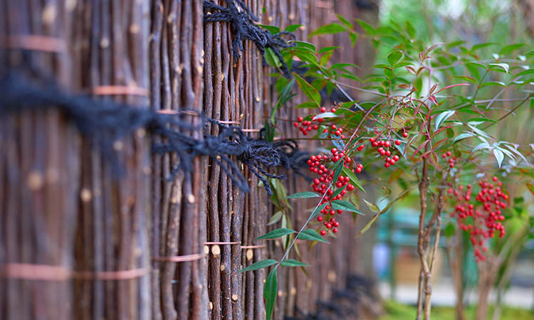 写真：施設内の自然