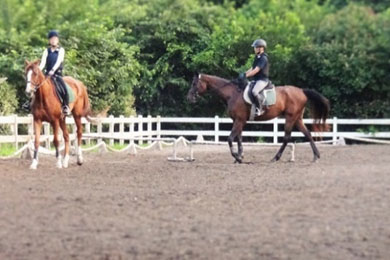 Kyoto Riding Club